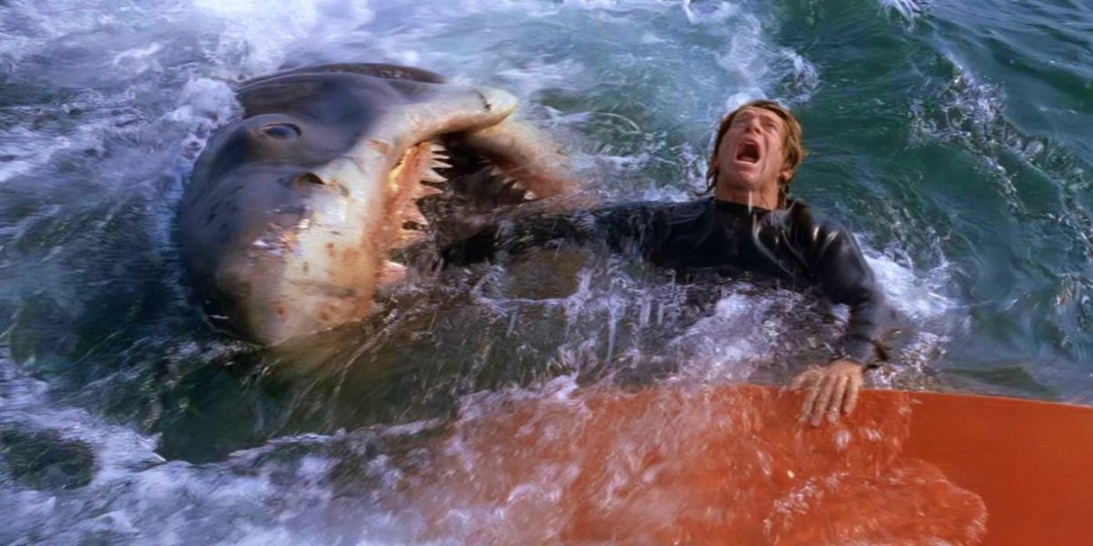 El acto más valiente en Jaws vino de un personaje que probablemente olvidaste