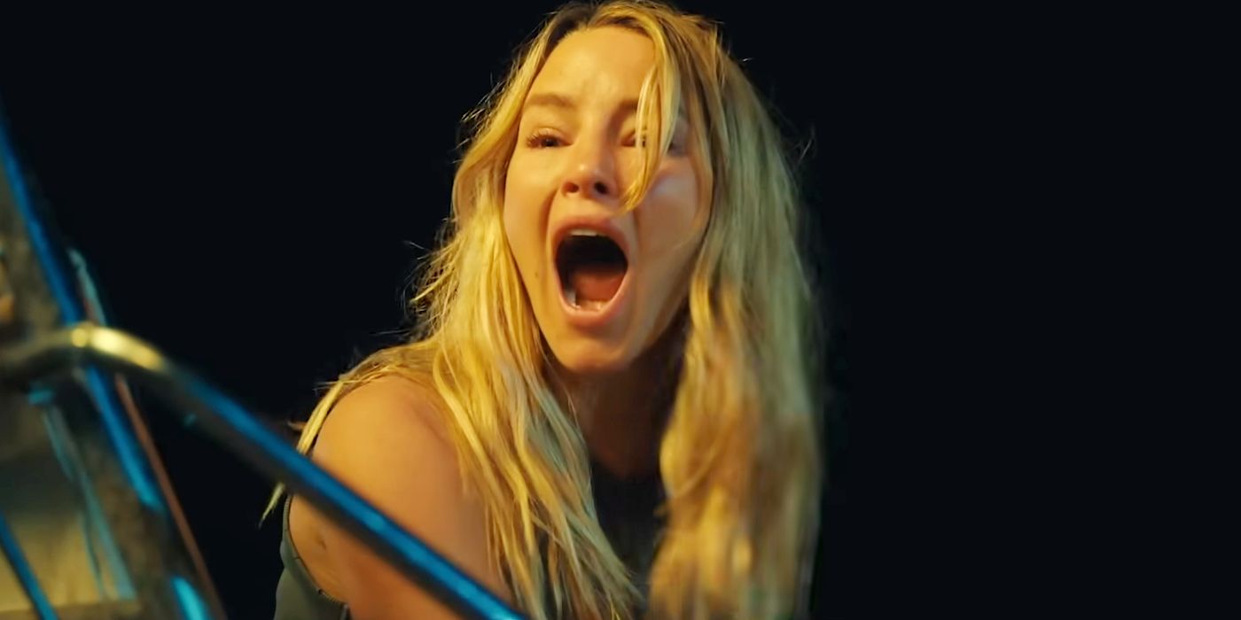 10 mejores películas de tiburones como animales peligrosos