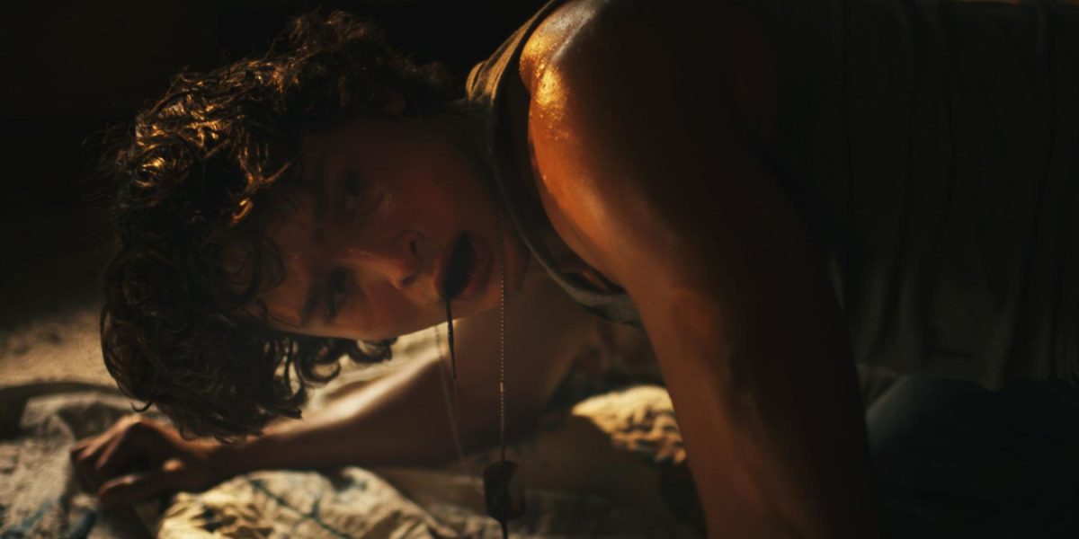 Bleeding Review: estoy decepcionado de esta película de terror de vampiro desperdició una premisa con tanto potencial