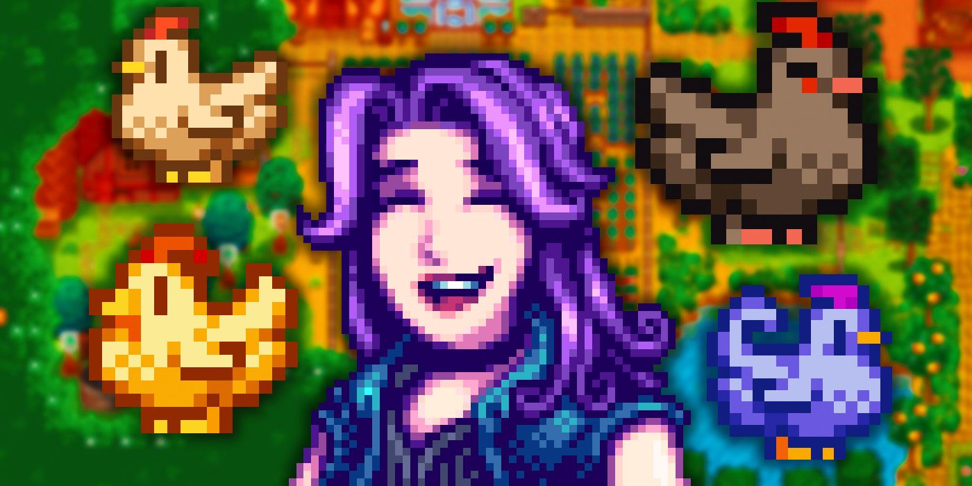 Cómo obtener cada tipo de pollo en Stardew Valley