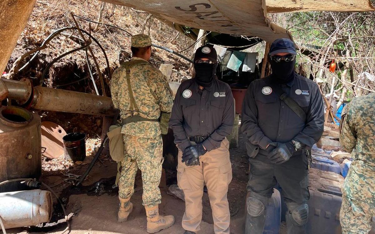 Desmantelan narcolaboratorio con pista clandestina; golpe de 966 millones de pesos al narco: Harfuch