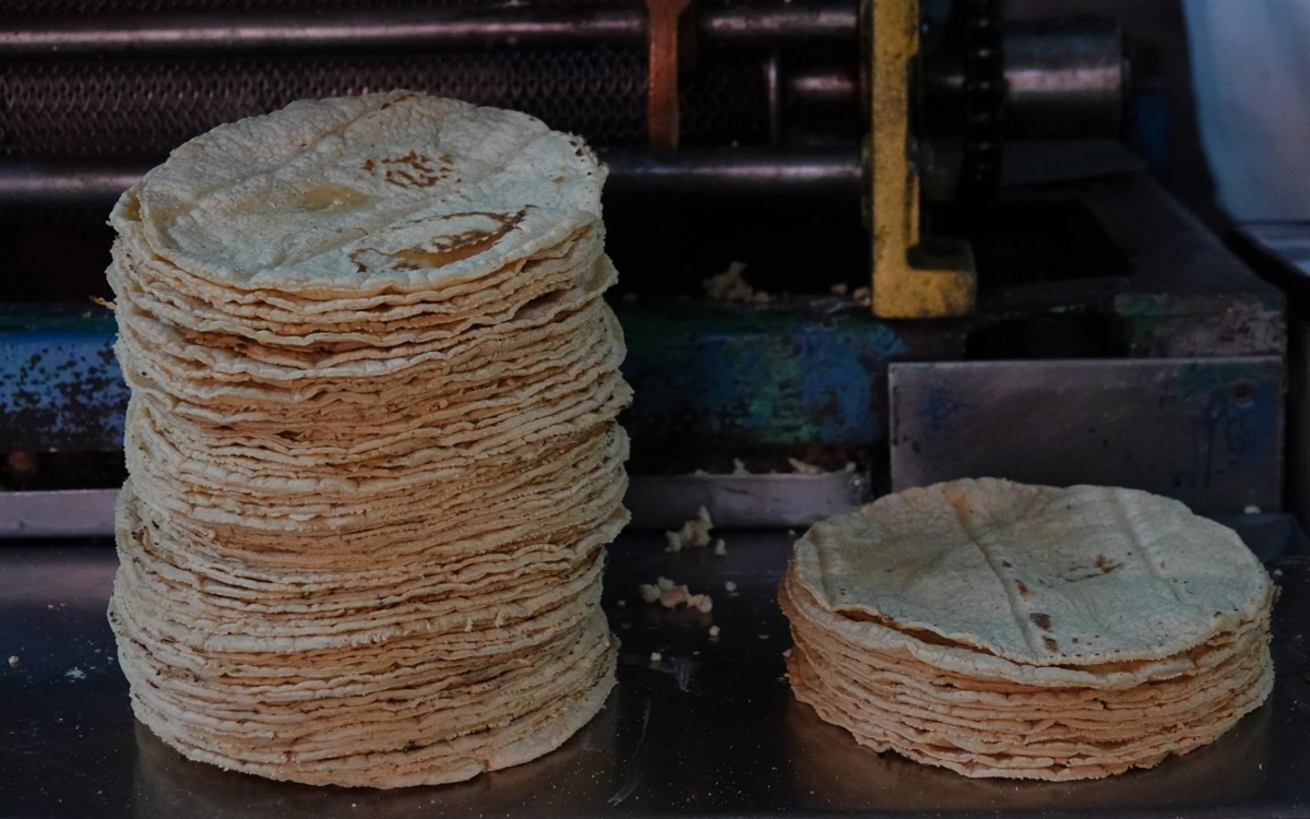 Gobierno de México anuncia acuerdo para estabilizar y reducir el precio de la tortilla