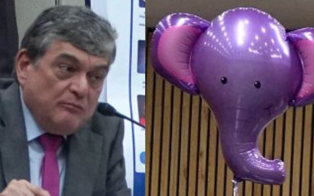 INE: La defensa de los acordeones, debate entre un elefante y un dado
