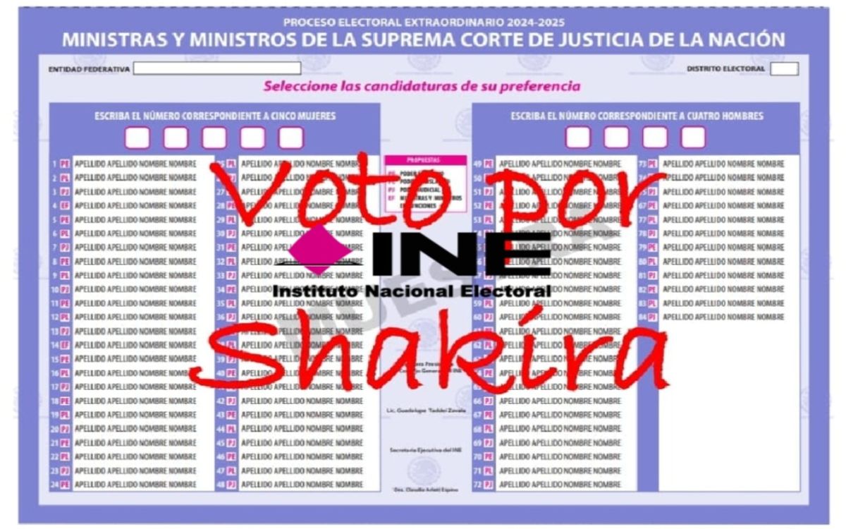 INE considera válidos los votos de protesta como el 'Voto por Shakira': Alcocer
