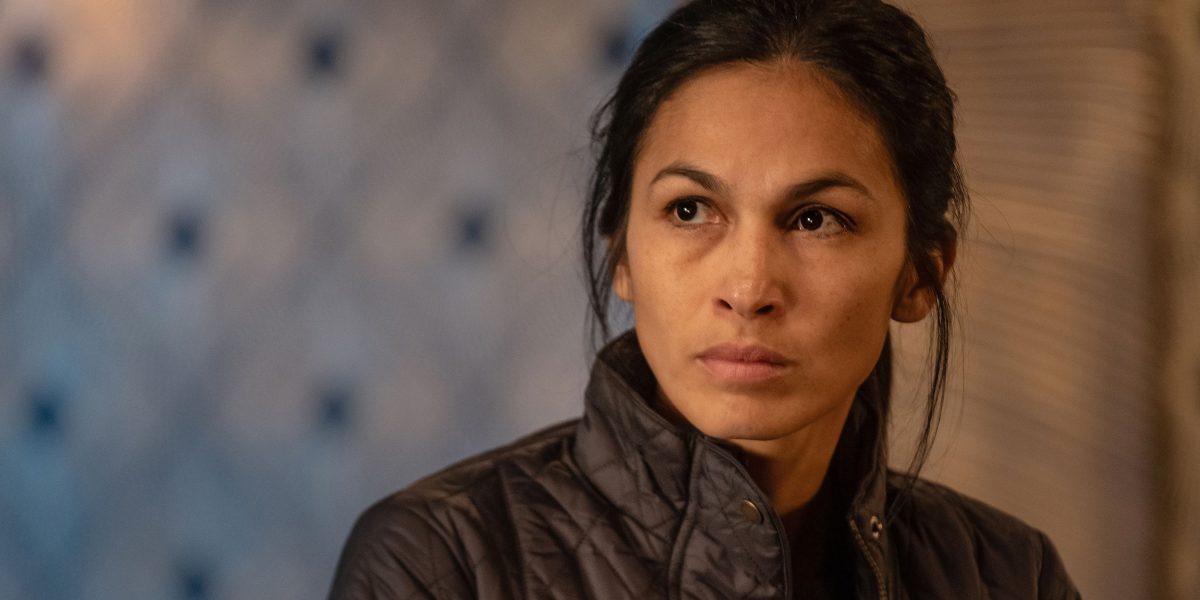 La mujer de limpieza cancelada por Fox después de la temporada 4