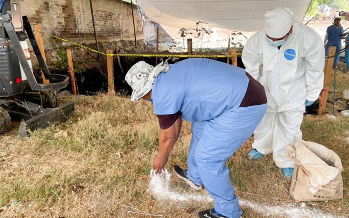 Recuperan 85 restos en fosas de Jojutla; 6 son de bebés
