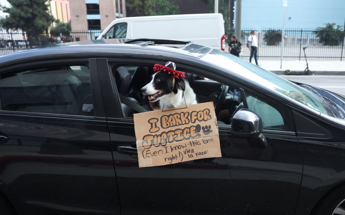 Sin antecedentes penales, casi 7 de cada 10 migrantes detenidos en Los Ángeles