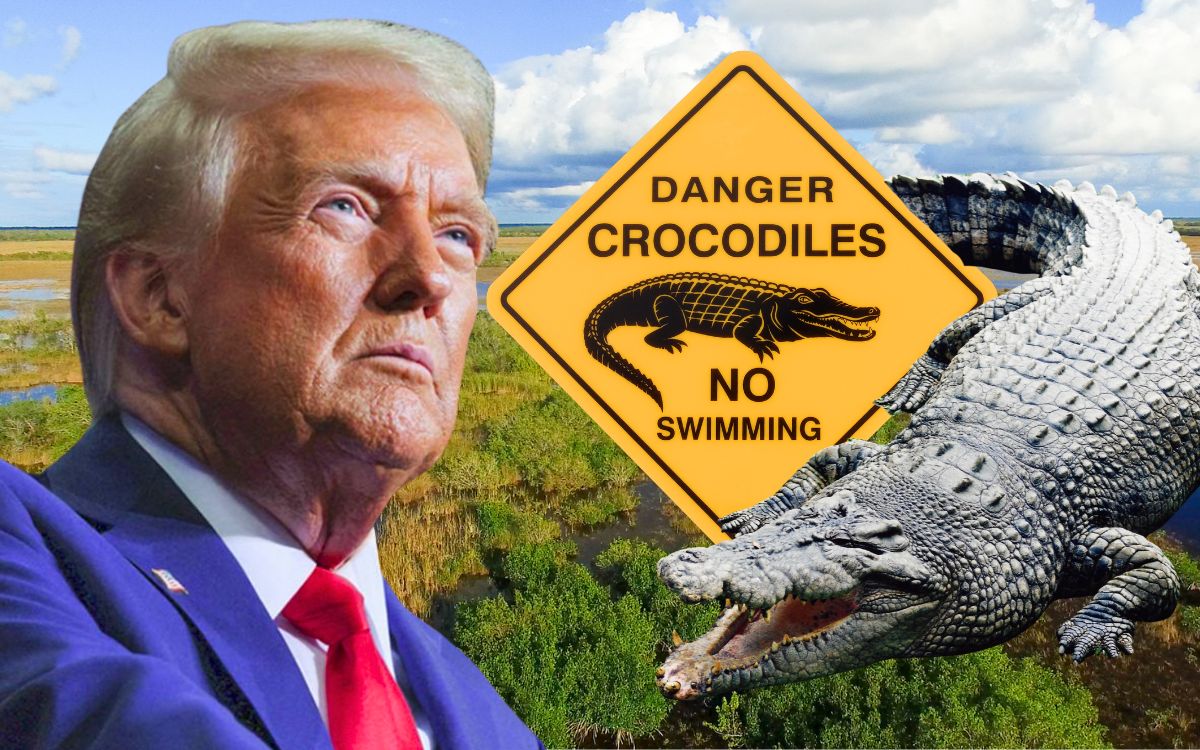 'Alligator Alcatraz': La nueva prisión para migrantes que Trump construye rodeada de caimanes