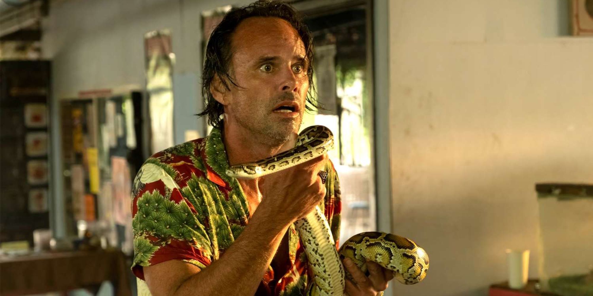 Todos los fanáticos de Walton Goggins deberían ver su otro programa de HBO que es tan bueno como el loto blanco