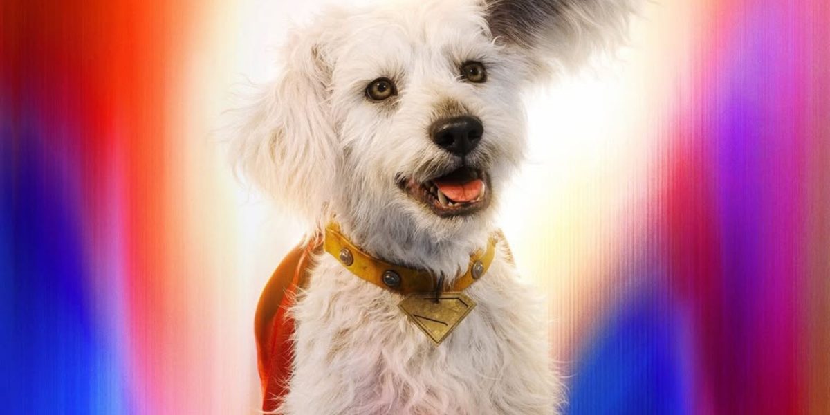 Todos aman al perro de Superman, pero 1 cómico significa malas noticias para Krypto