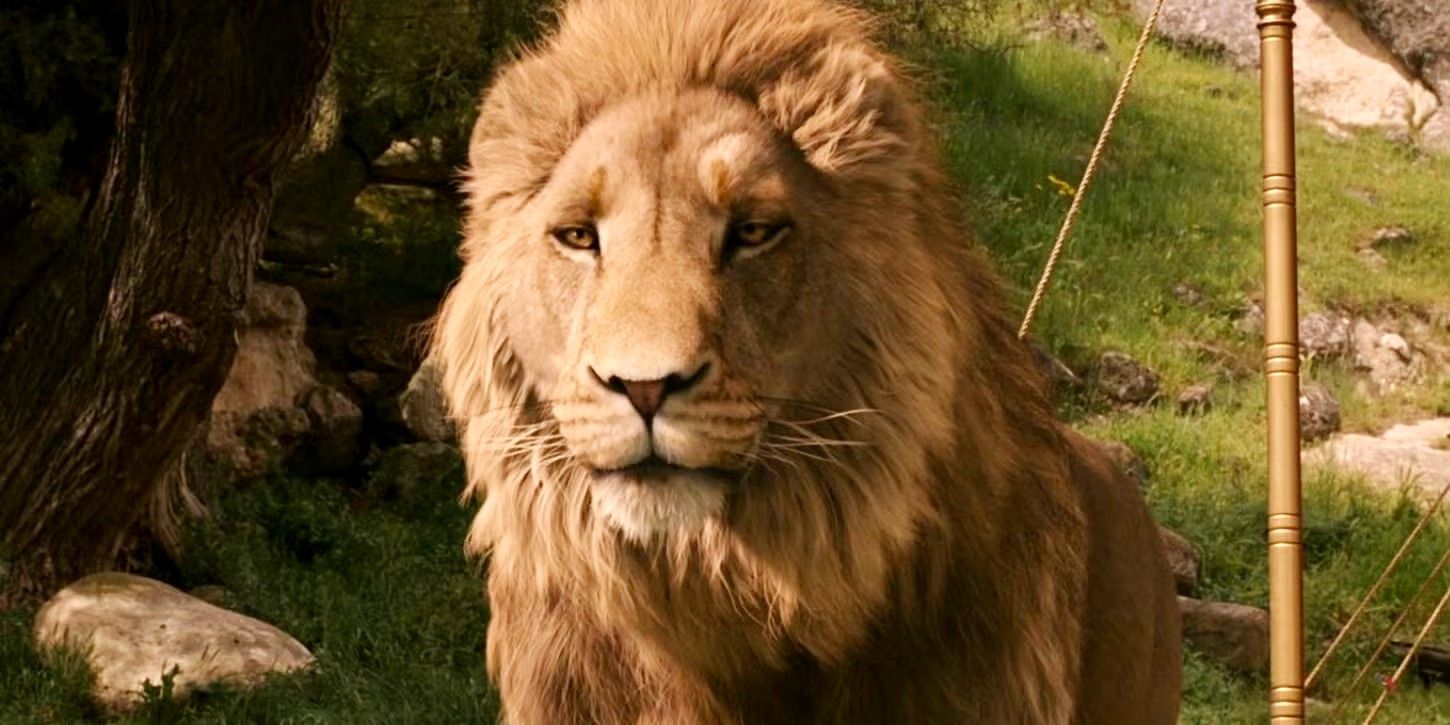 Las películas de Narnia de Greta Gerwig podrían solucionar un problema de adaptación de fantasía reciente