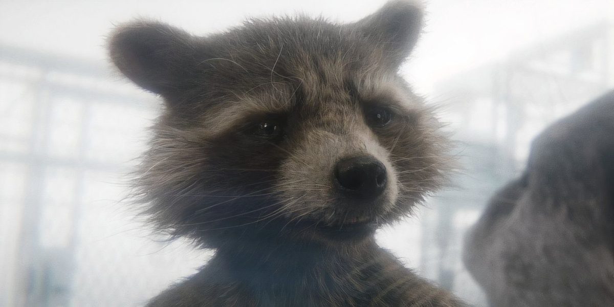 No puedo superar cuánta línea más triste 1 en Guardians of the Galaxy Vol. 3 hace que Rocket's MCU Skills & Story