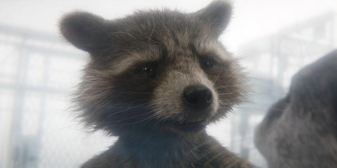 No puedo superar cuánta línea más triste 1 en Guardians of the Galaxy Vol. 3 hace que Rocket's MCU Skills & Story