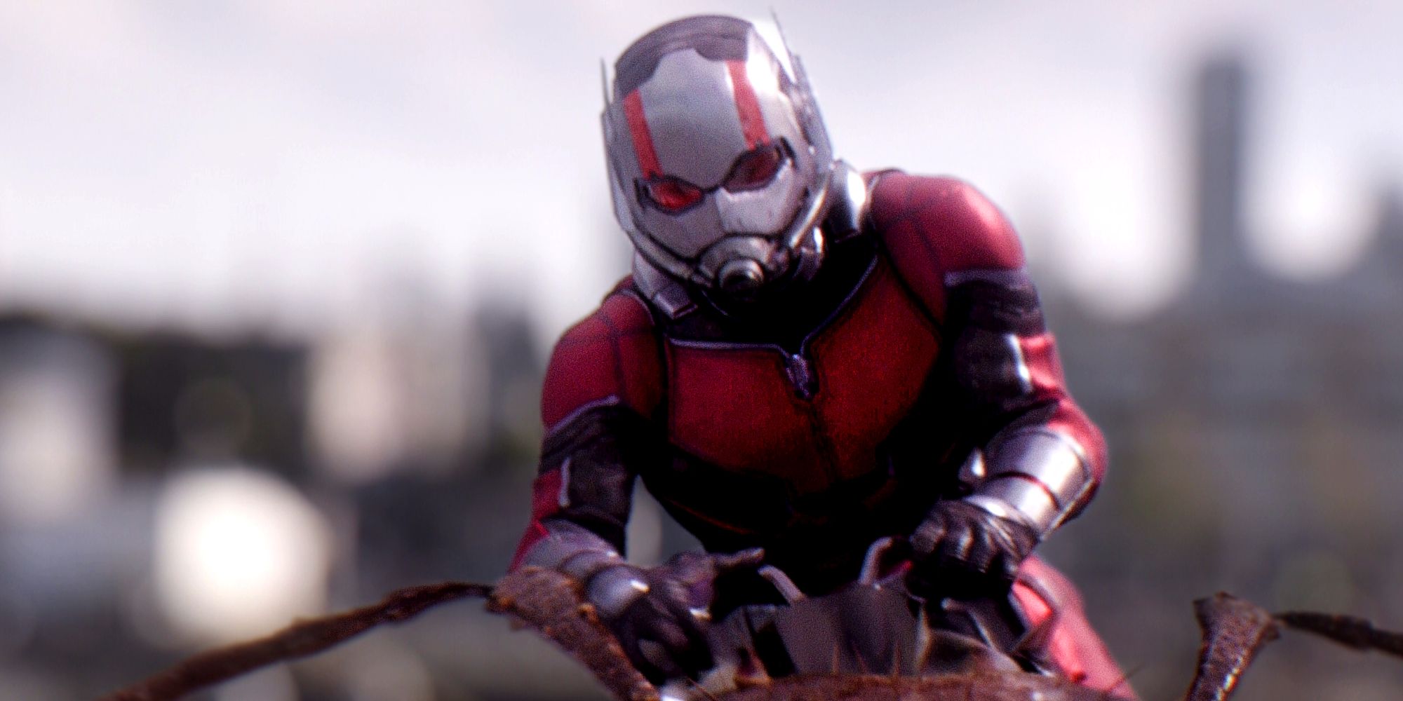 Ant-Man Star tiene “un poco de carne con Marvel”, ya que su personaje de MCU no tiene un retorno claro en el futuro