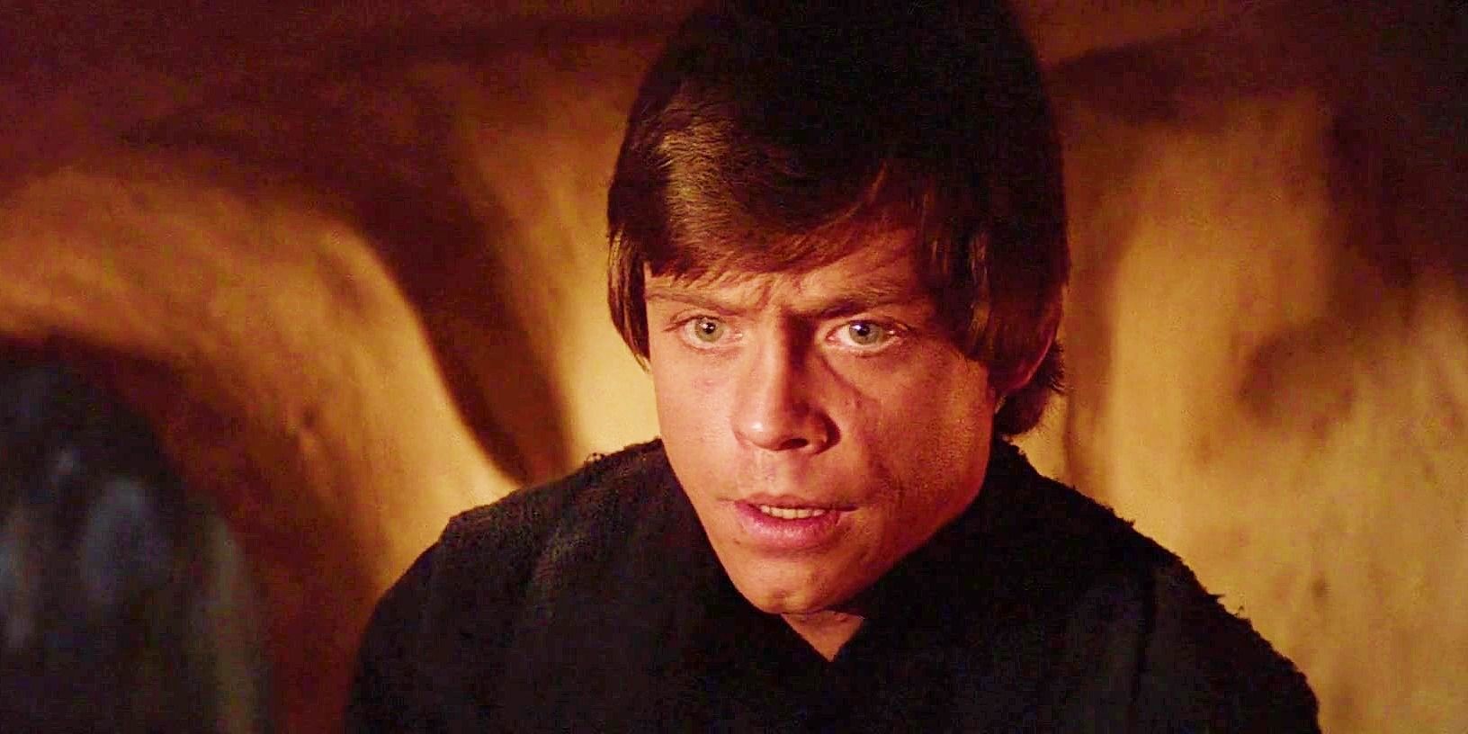 Star Wars solo estableció un nuevo interés amoroso para Luke Skywalker