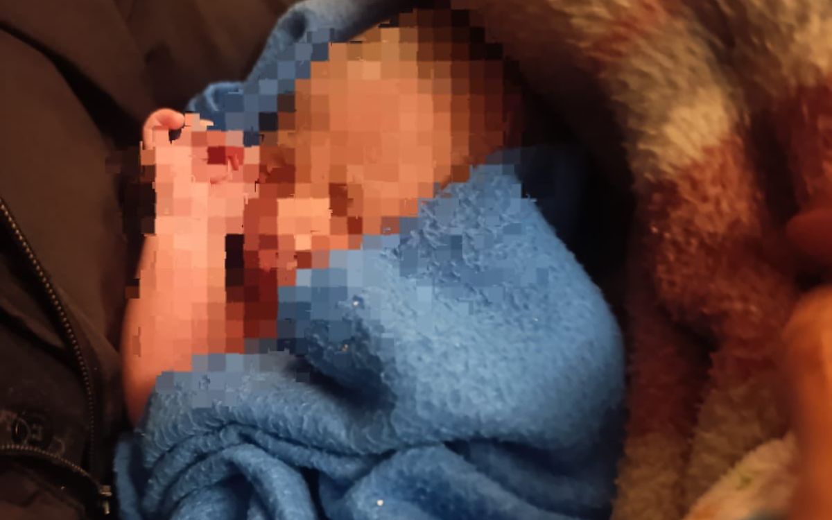 Bebé con horas de nacida sobrevive a ser abandonada en arbusto