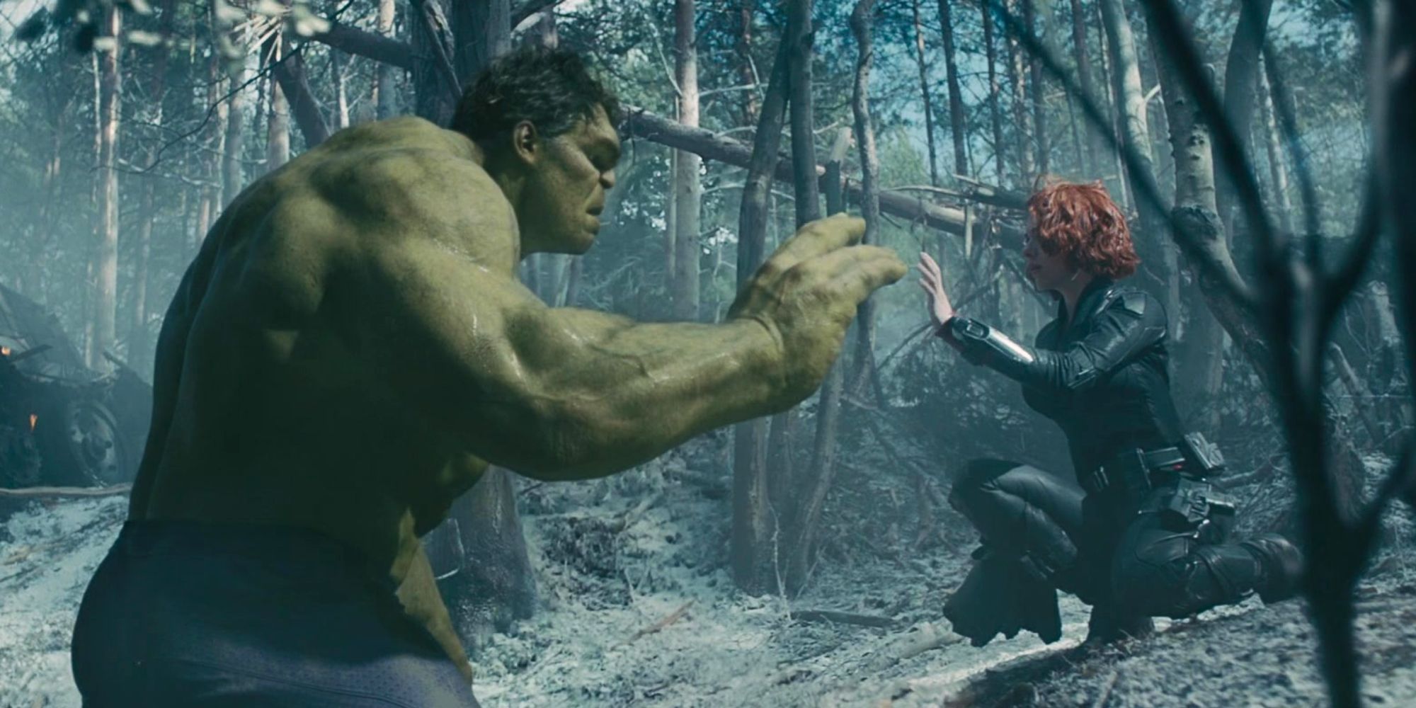 El MCU perdió una manera de hacer que Black Widow y la historia de Hulk sean más importantes al mismo tiempo