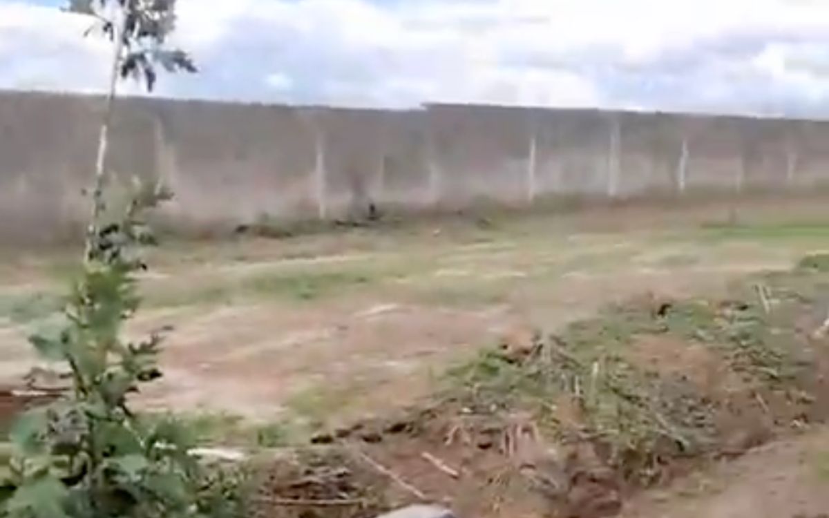 Hallan 211 bolsas con restos humanos en la fosa Las Agujas, Jalisco; la más grande del año