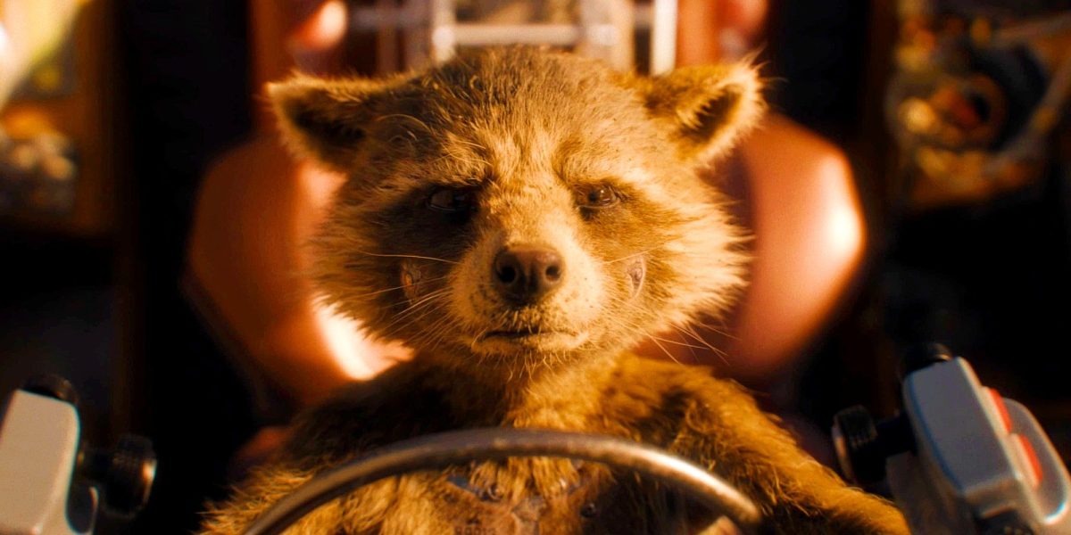 Me acabo de dar cuenta de que la otra razón por la que Rocket no le gusta ser llamado animal después de volver a ver a Guardians of the Galaxy Vol. 3 (y es mucho peor)