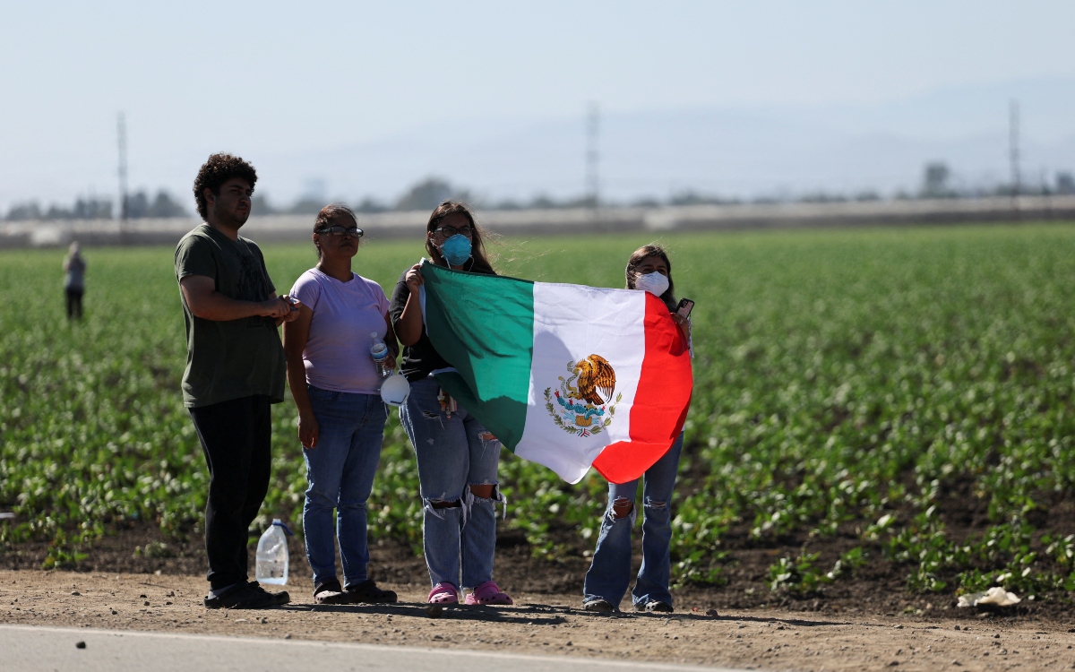 Mexicanos en EU tenían mejor salud mental en 2024 que 'los blancos y los afroestadounidenses': UNAM