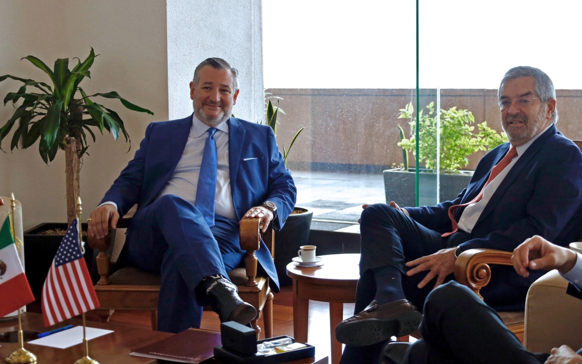 'Cooperación sin subordinación', señala De la Fuente tras reunión con Ted Cruz