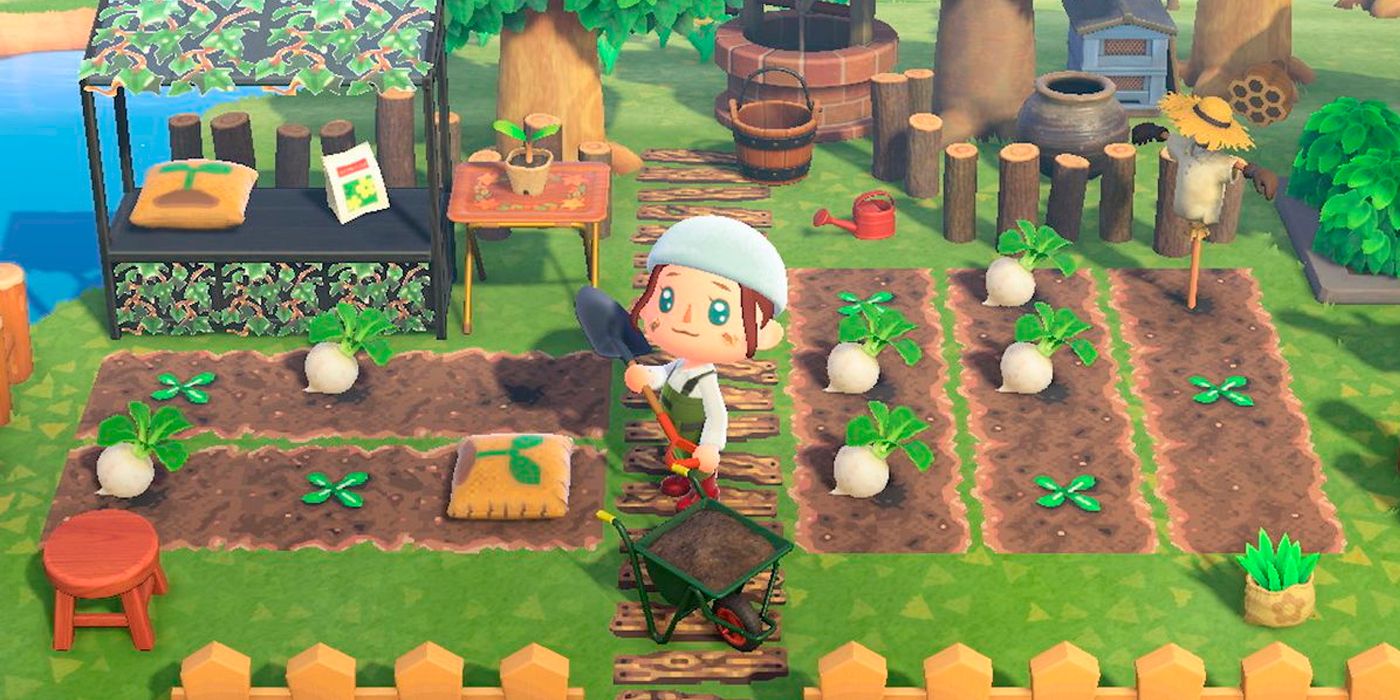 Después de 620 horas de cruce de animales: nuevos horizontes, todavía me arrepiento de mi primer error