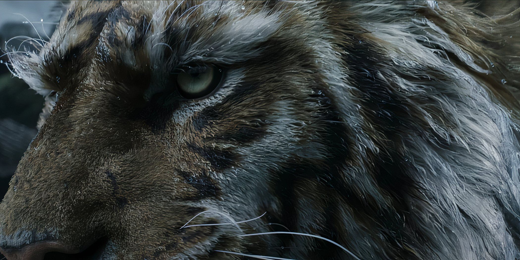 Todo lo que necesitas saber sobre el mito negro: el nuevo protagonista de Zhong Kui