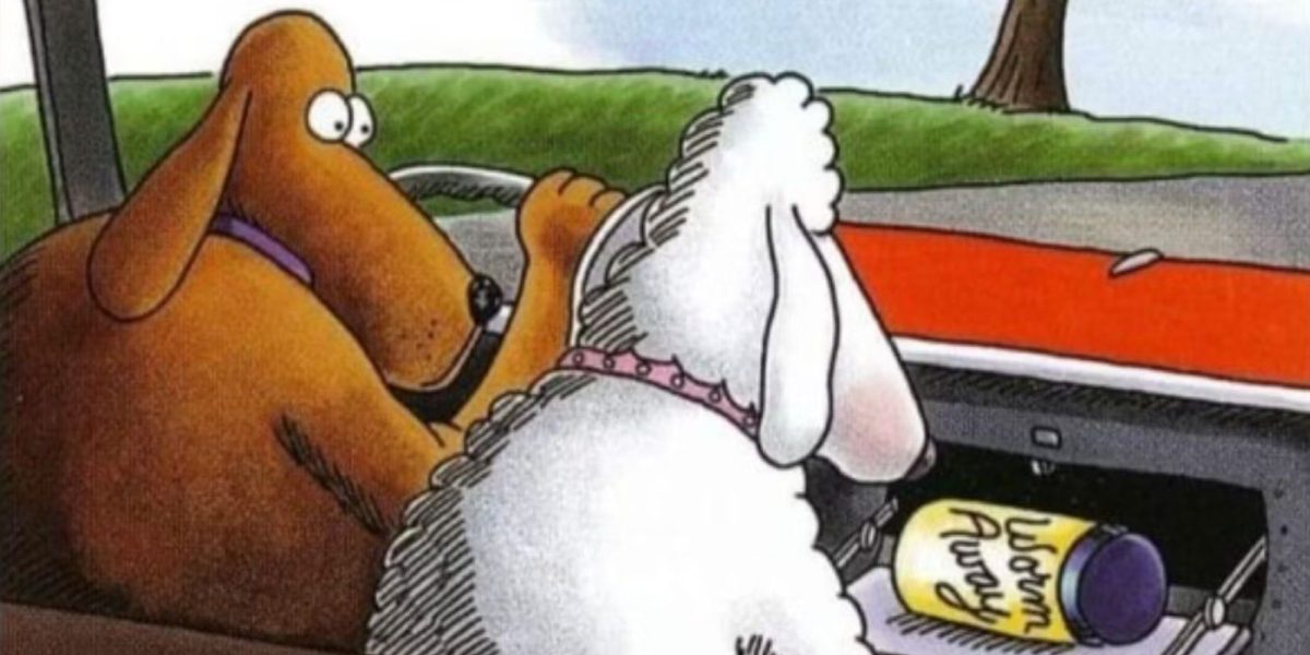 10 cómics laterales lejanos que empujan perfectamente tus comedias favoritas