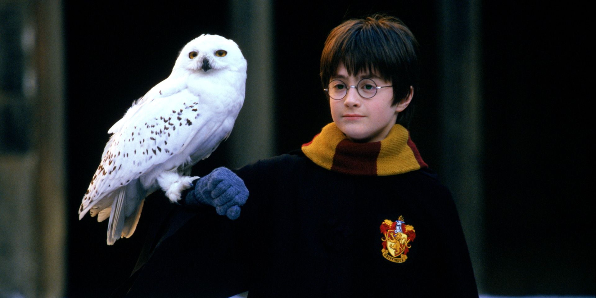 El casting de HBO Harry Potter da la esperanza de otro gran cambio