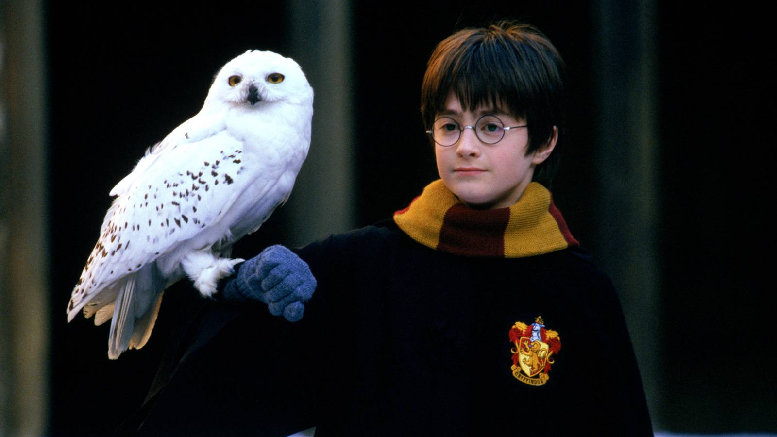 El director original de Harry Potter no tiene interés en devolver el reinicio de HBO