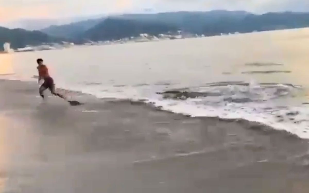Adolescente logra escapar de cocodrilo en Puerto Vallarta
