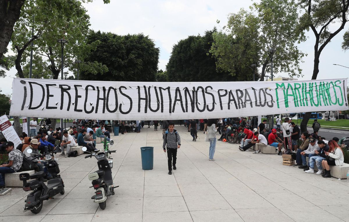 CDMX estrena 'paraísos' para fumar marihuana, en medio de 'lagunas' legales