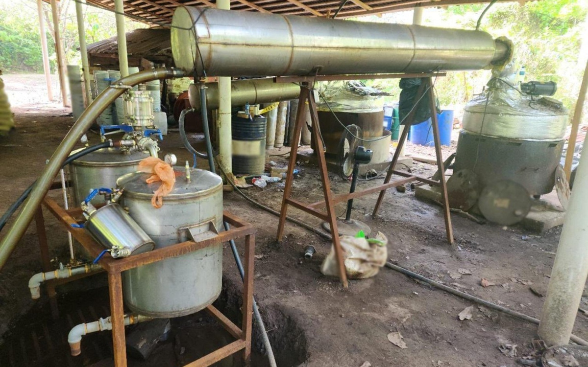 Decomisan más de 5 toneladas de drogas en tres entidades