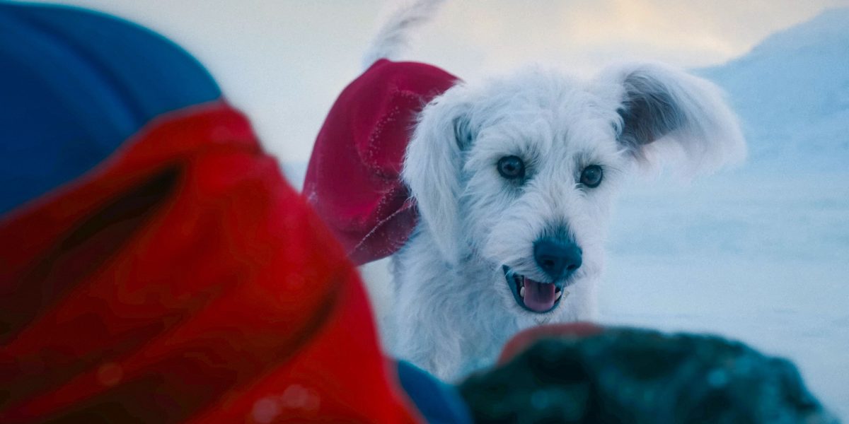Esa escena de Superman Krypto fue impactante, pero fue casi aún peor