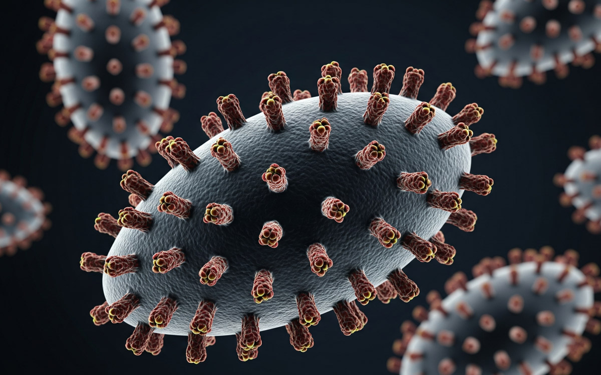 Fallece joven de 17 años en Zacatecas por probable caso de rabia humana