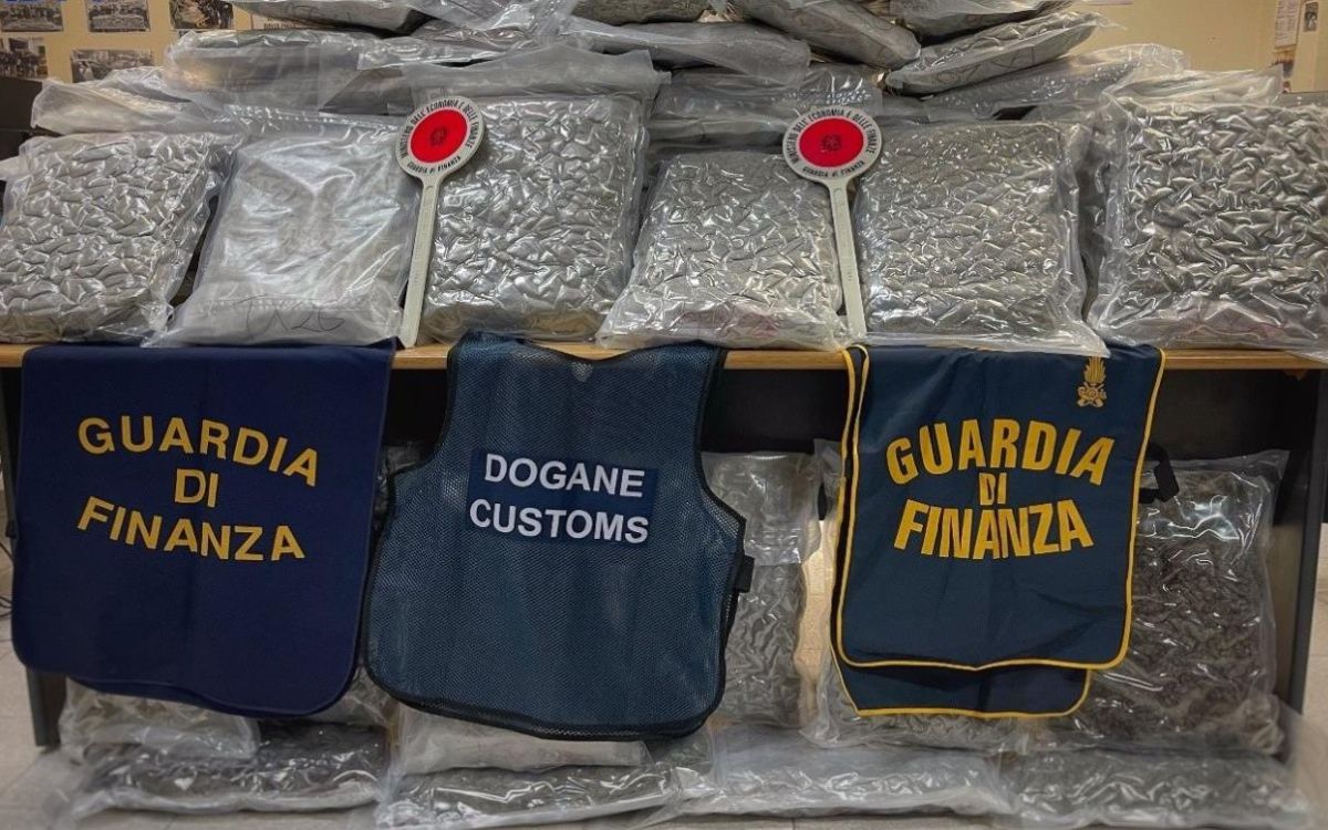 Incautan 81 kilos de marihuana escondidos en vestidos de novia | Italia