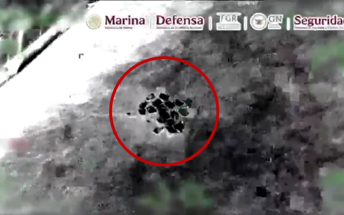 Video | Decomisan casi una tonelada de cocaína en Acapulco, Guerrero