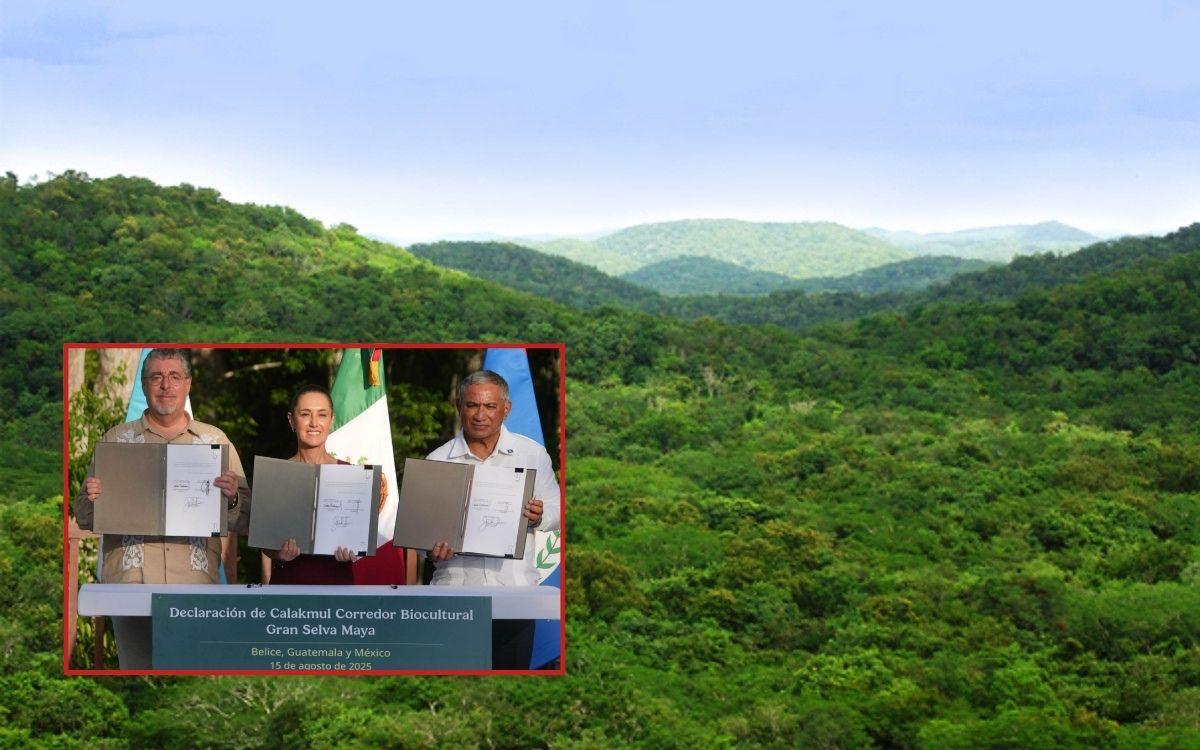 WWF congratula a México, Guatemala y Belice por la 'Declaración de Calakmul'
