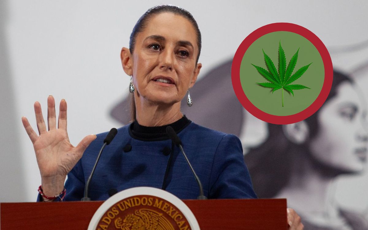 ¿A favor? Qué opina Sheinbaum de lugares de tolerancia para consumo de marihuana