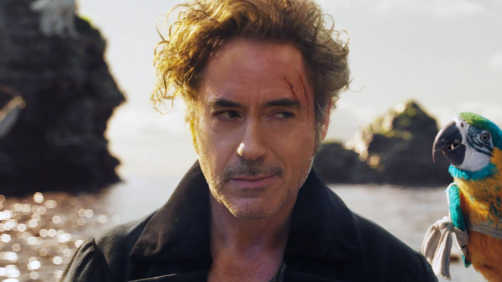 Avengers: Doctor Doctor Doom de Doomsday Star Hypes Robert Downey Jr.