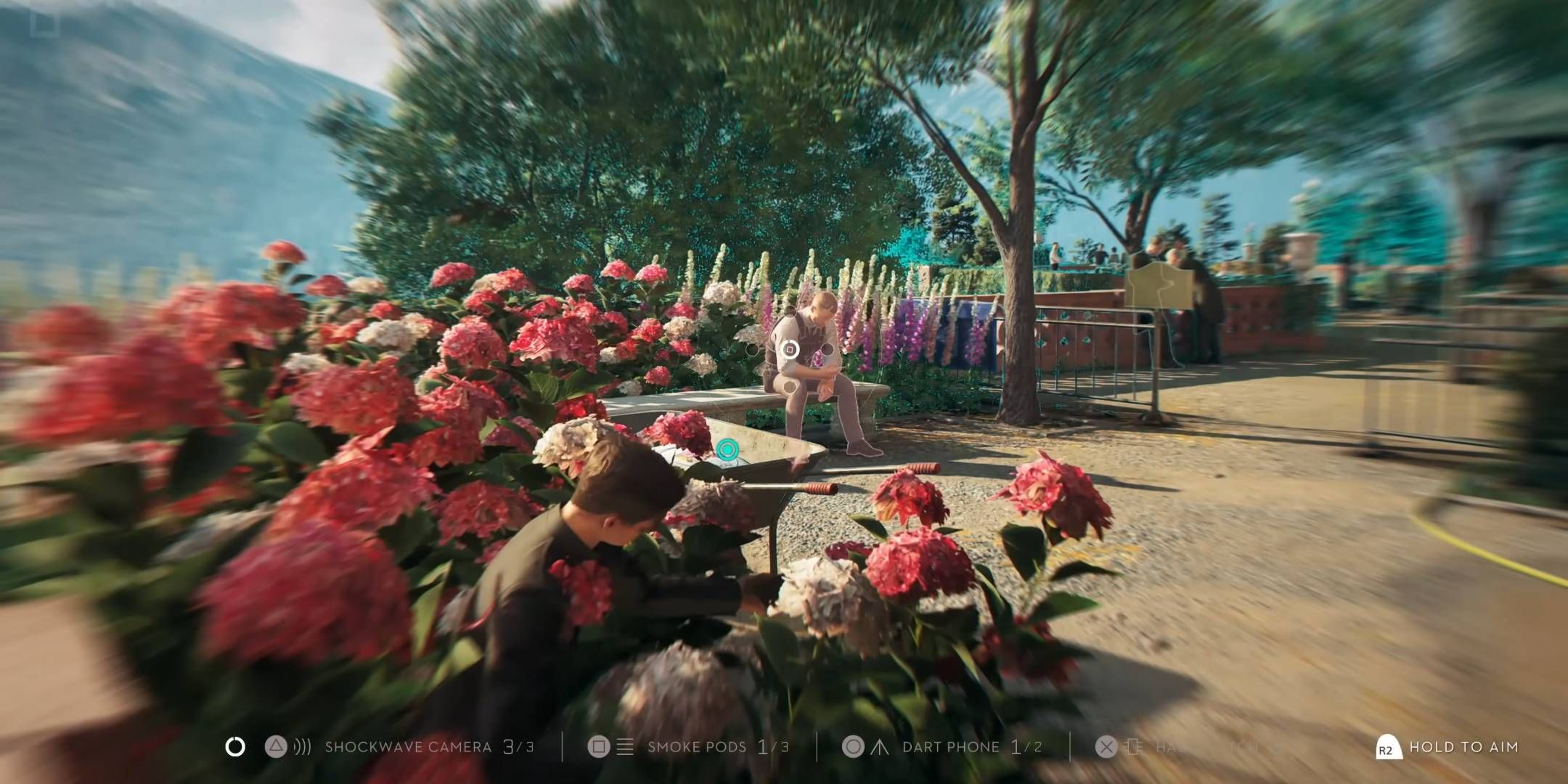 Primer enlace de luz escondido en los arbustos