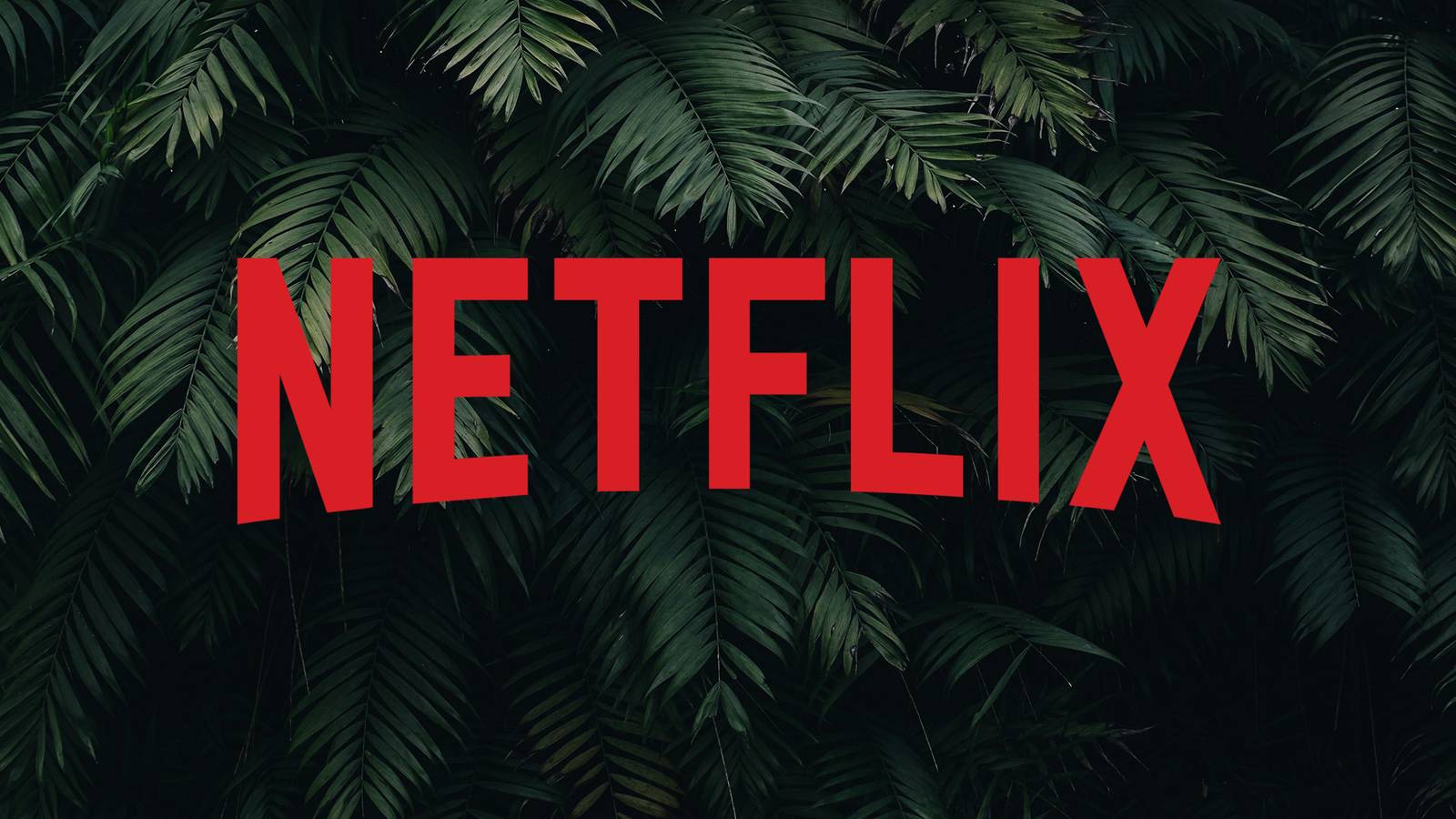 El éxito de taquilla de fantasía del 97% de Netflix se convierte en la primera película o el programa para llegar a la transmisión de la transmisión