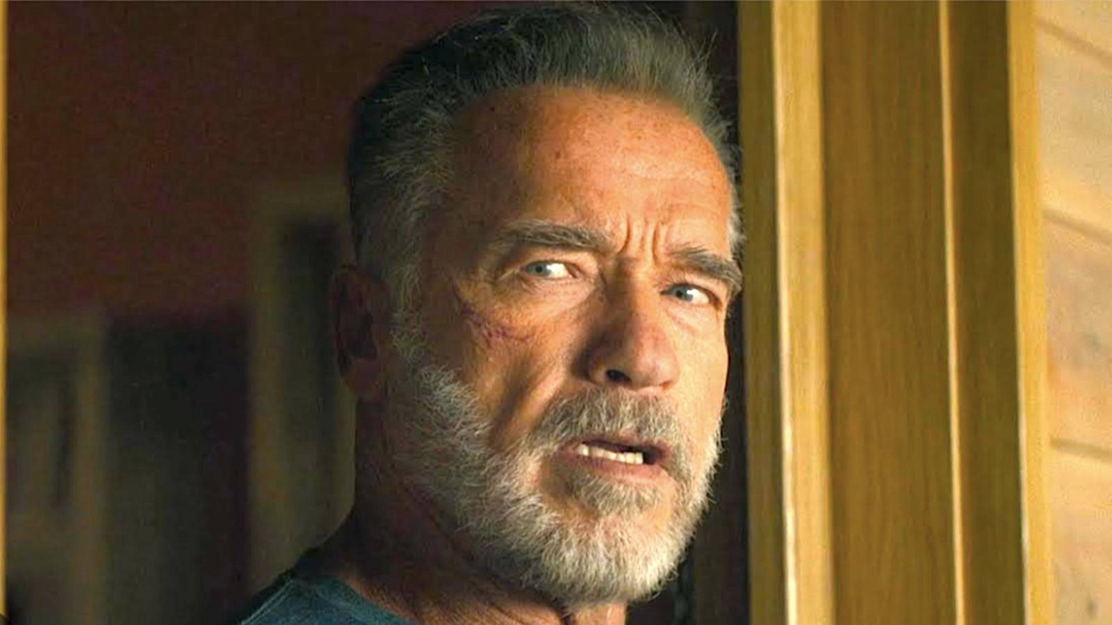 6 cosas que no odiamos de las películas de Terminator después del día del juicio