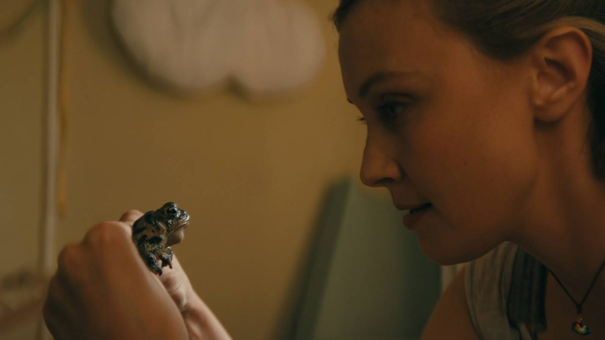 El verdadero significado de los sapos de Wayward