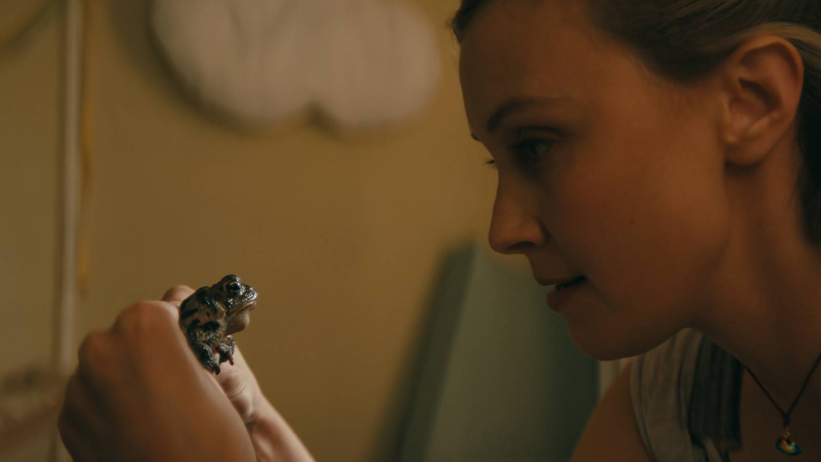 El verdadero significado de los sapos de Wayward