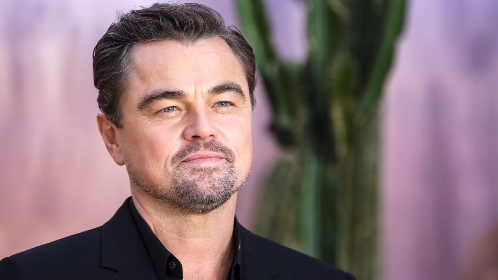 Las 10 películas mejor calificadas de Leonardo DiCaprio en Rotten Tomatoes