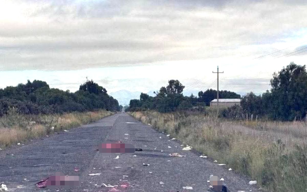 Investiga Fiscalía de Jalisco hallazgo de seis cuerpos en límites con Zacatecas