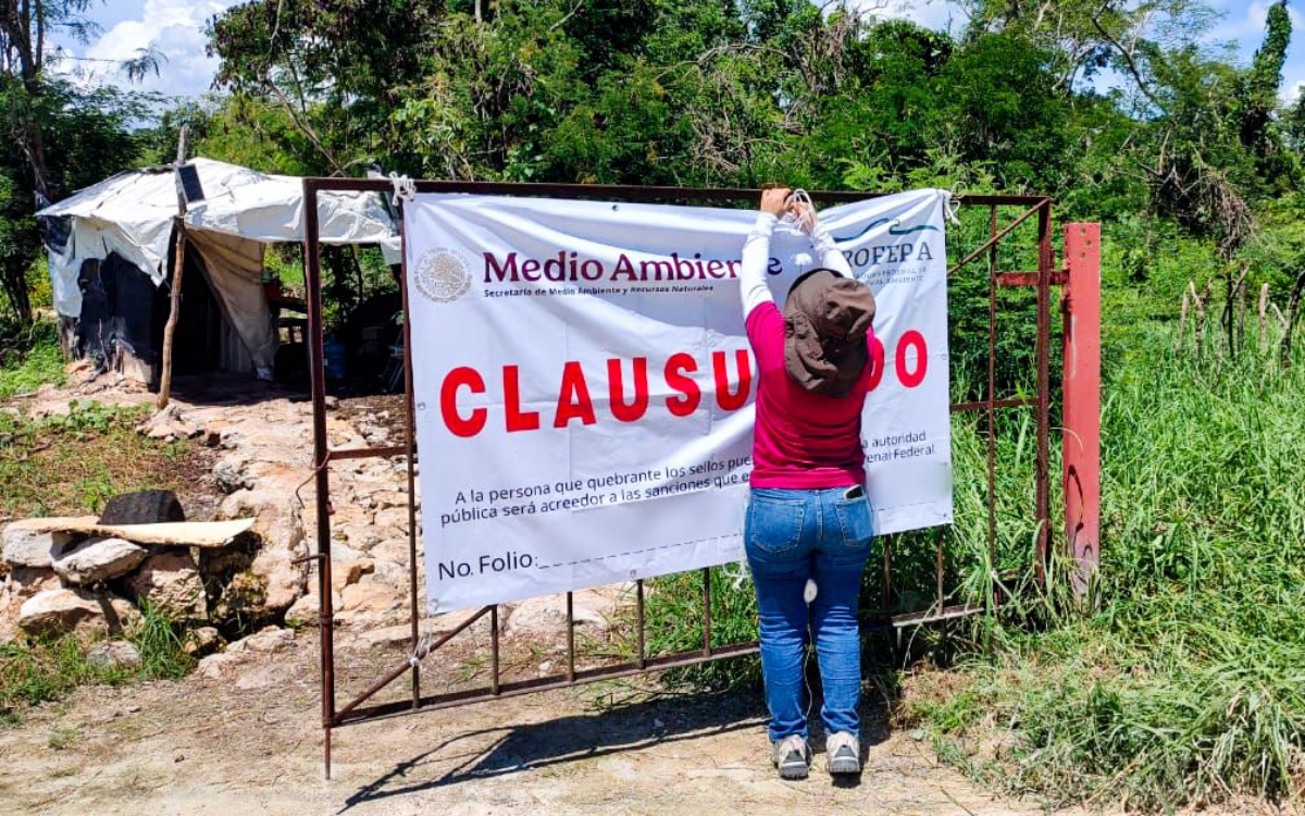 Profepa impone una clausura total definitiva a la granja porcícola en Mérida, Yucatán