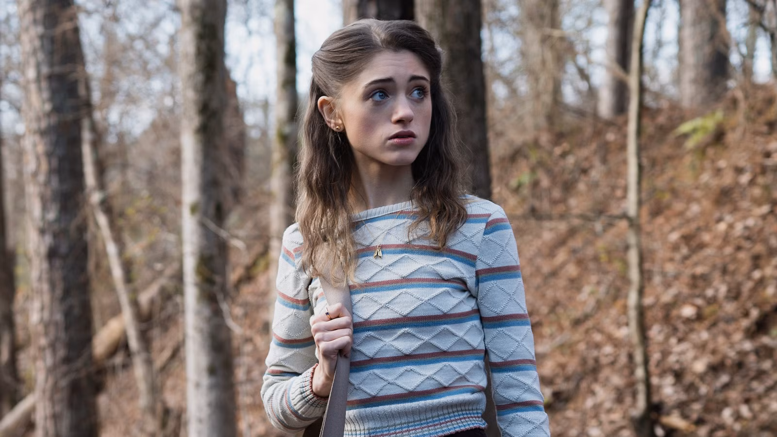 La nueva familia de Wheeler de Stranger Things no tiene sentido