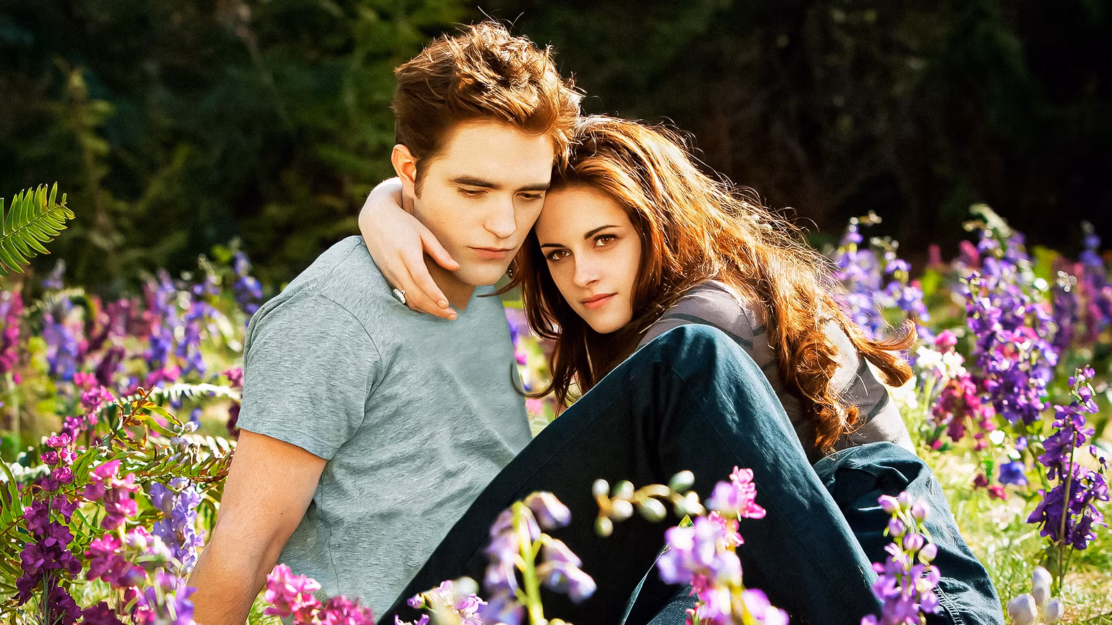 “Traje un poco de campamento”: el director de Twilight dice que los críticos perdieron el punto